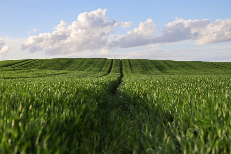 Organic Farming